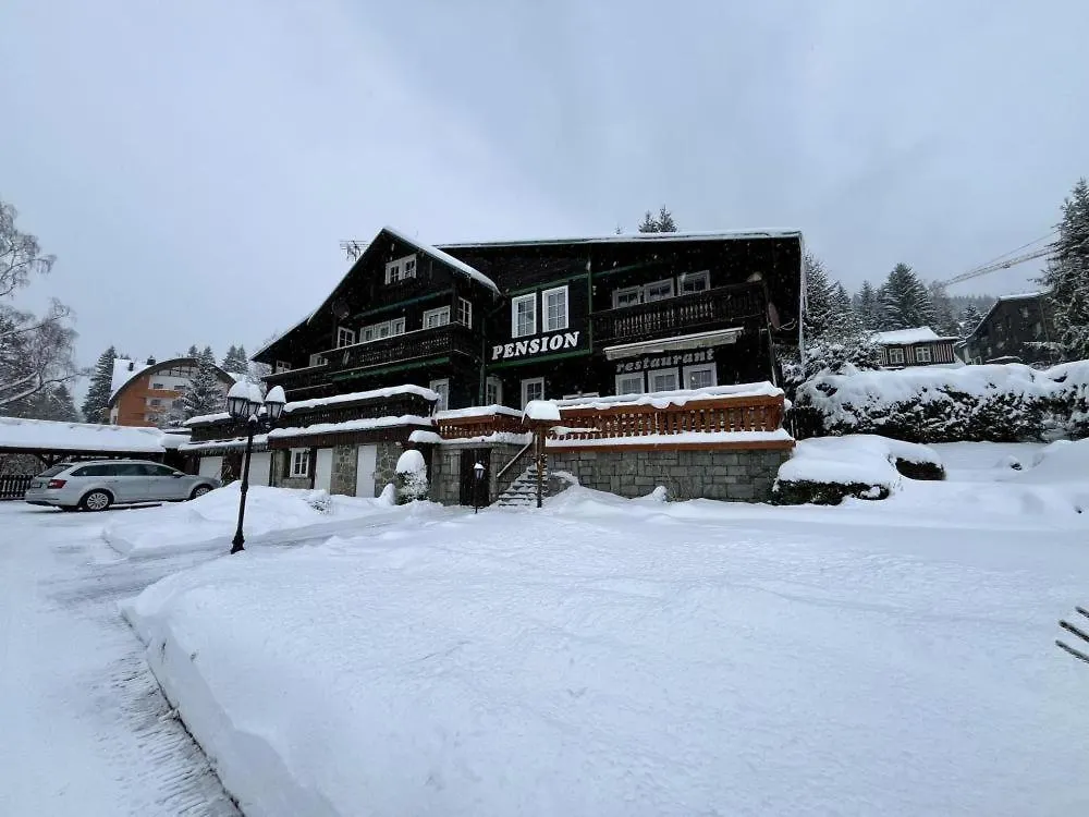 Guest house Pension Svycarsky Dum Spindleruv Mlyn